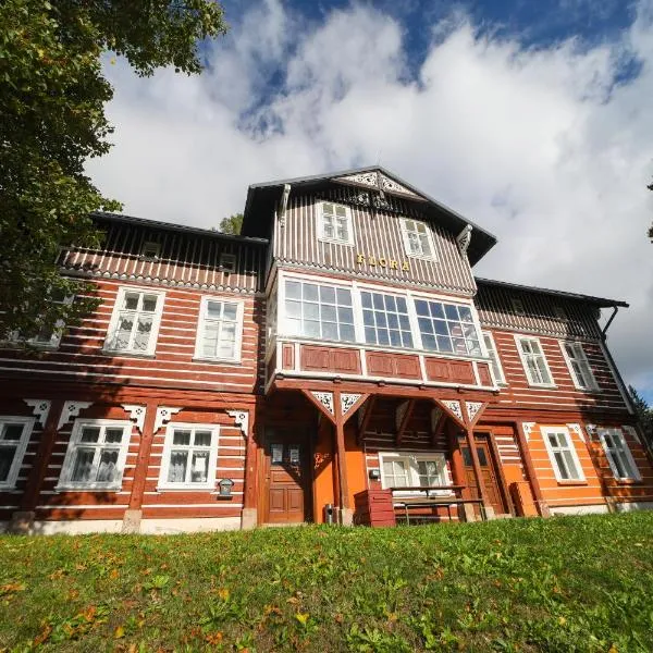 Penzion Flora, hotel in Janske Lazne