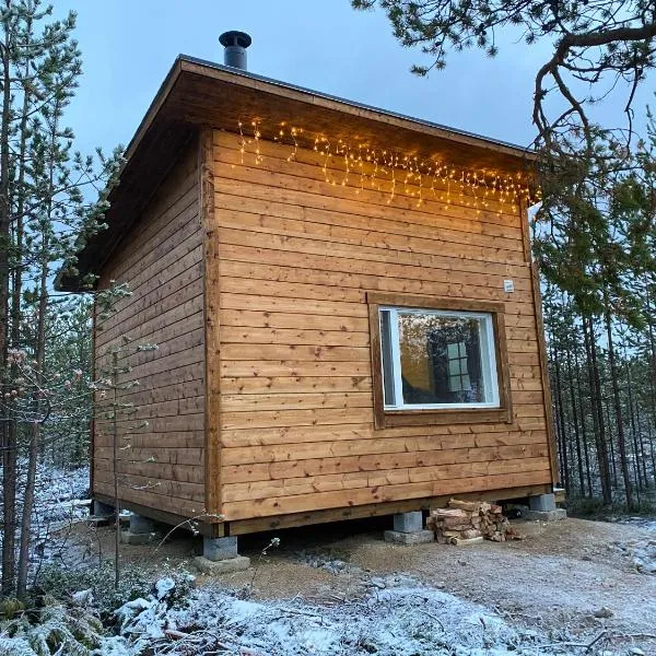 Aurora Husky Hut, отель в Инари