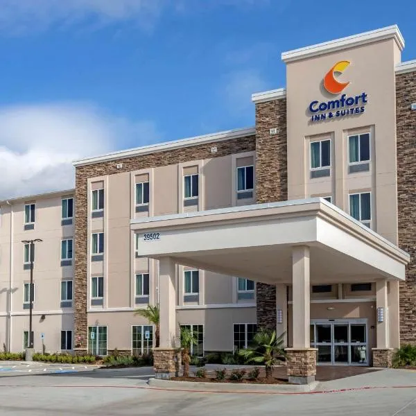 Comfort Inn & Suites, hotel i Hempstead