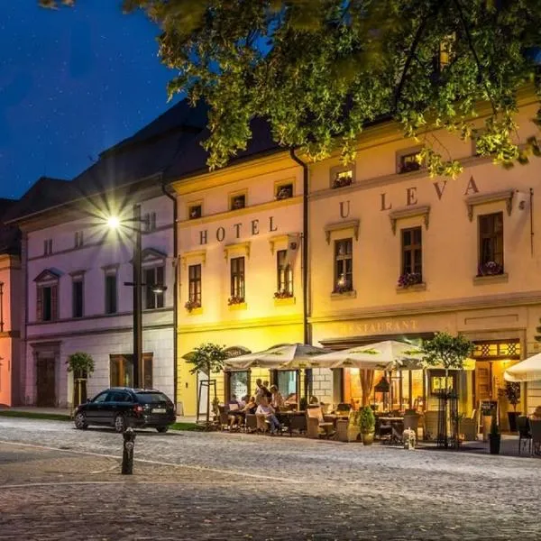 Hotel U Leva, hotel u gradu Levoča