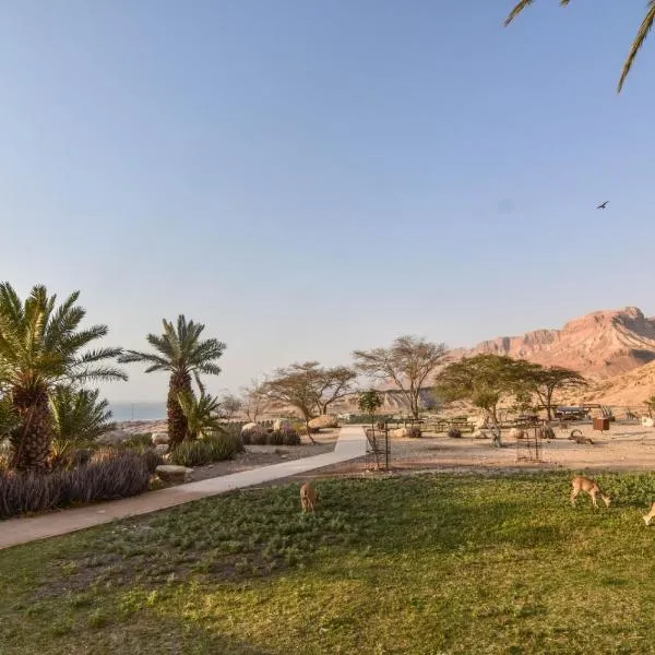 SPNI Ein Gedi Field School, hôtel à Ein Gedi