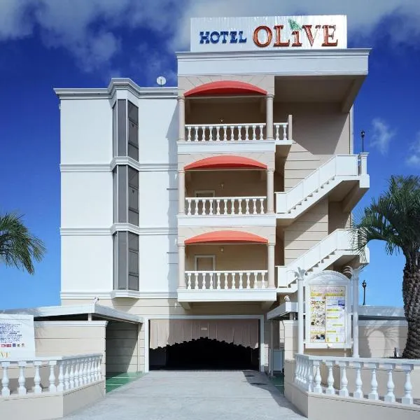 Hotel Fine Olive Sakai, хотел в Сакаи