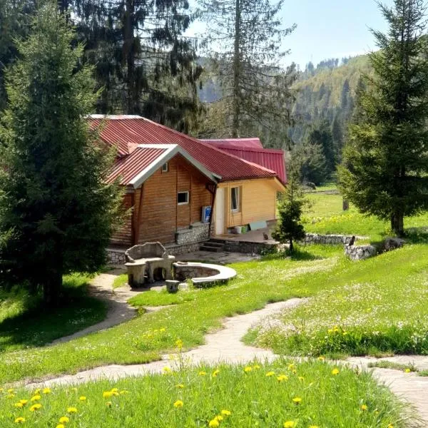 Vila IZVORUL MINUNILOR, hotel v destinaci Stana de Vale