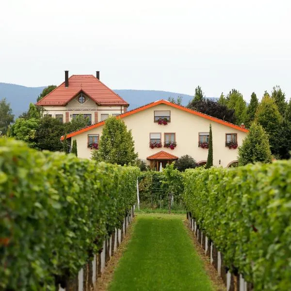 Villa Hochdörffer Gästehaus, hotel v destinaci Landau in der Pfalz