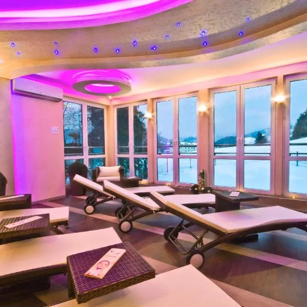 Centrum Green Hill Business & SPA、ヴィスワのホテル