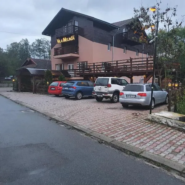 Pensiunea Melinda, hotel v destinaci Petrosani
