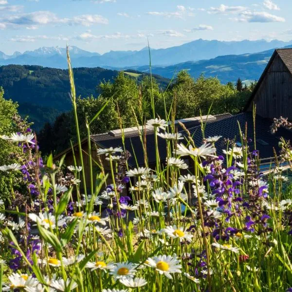 Ferienwohnungen Lichtenegger, hotel em Kamp
