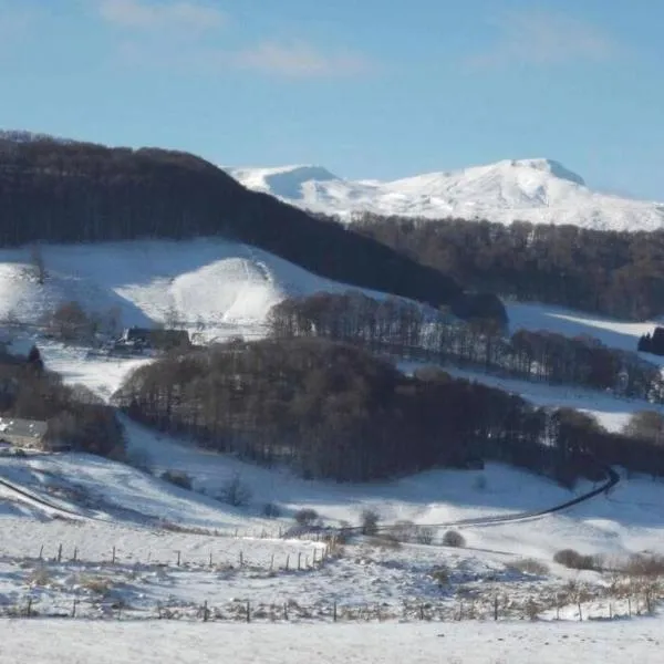 Chalet en pleine nature pour 12 personnes, hotel in Besse-et-Saint-Anastaise