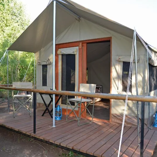 The Wild Olive Tree Camp, hotel in Manyeleti Game Reserve
