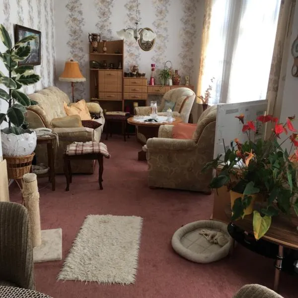 Ferienwohnung bunte Stadt an der Elde, Hotel in Grabow
