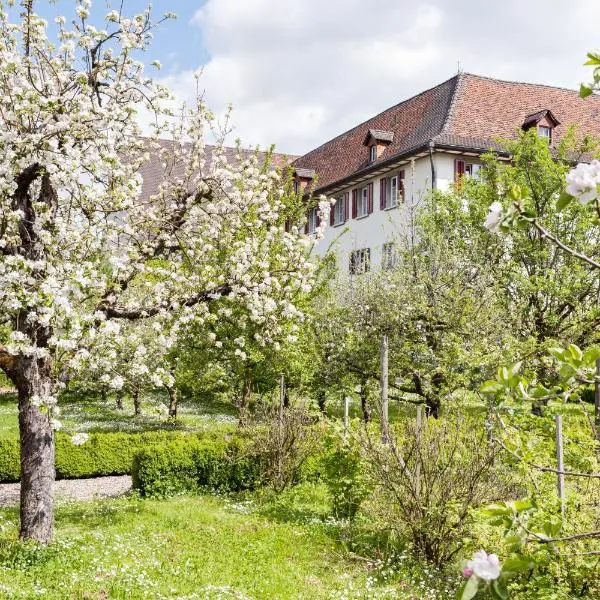 Kloster Dornach / Basel, hotel en Brislach