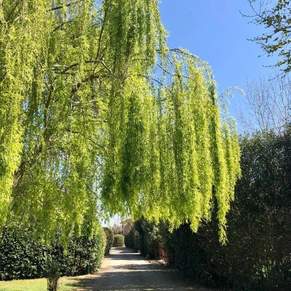 B&B Borgo di Pratavecchie, hôtel à Migliarino