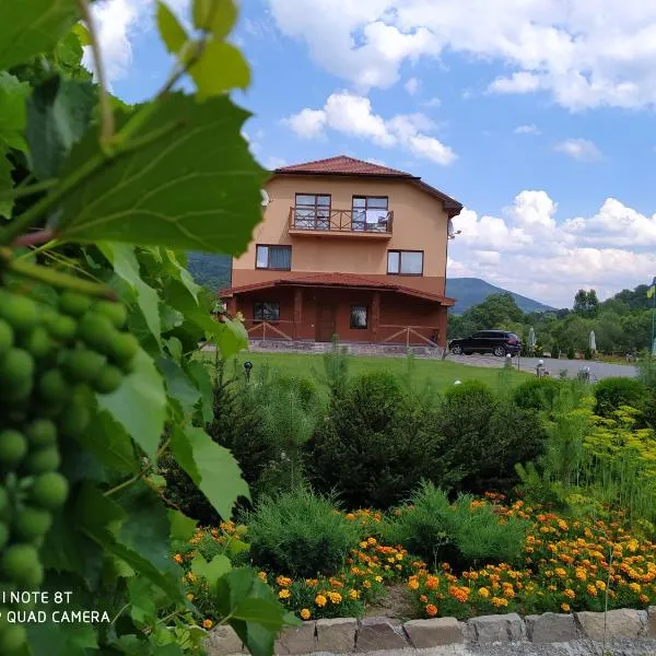 Bilovoddya Hotel, hotel in Bukivtsʼovo