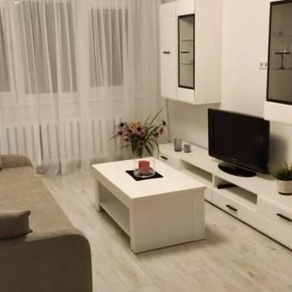 Butas miesto centre/ Apartment in the city center, hotel in Šiauliai