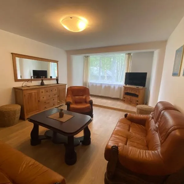 Butas Senamiestyje, hotel v mestu Druskininkai