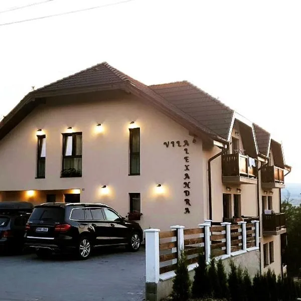 Vila Alexandra Sovata, hotel in Sovata