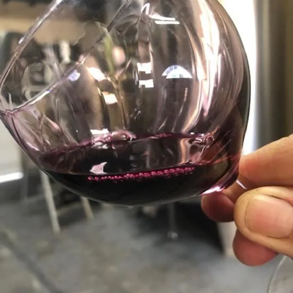 Viesnīca Chateau Couchebout pilsētā Pugnac