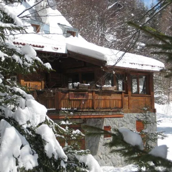 Guesthouse Šejn, hotel in Kopaonik
