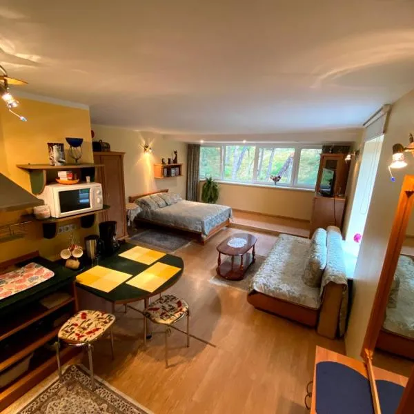 Apartamentai Nidoje, hotel a Nida