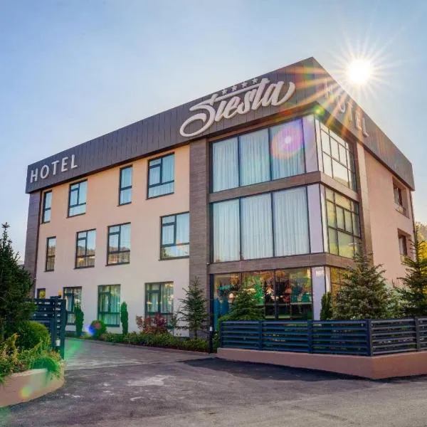 Hotel Siesta, hotel en Užice