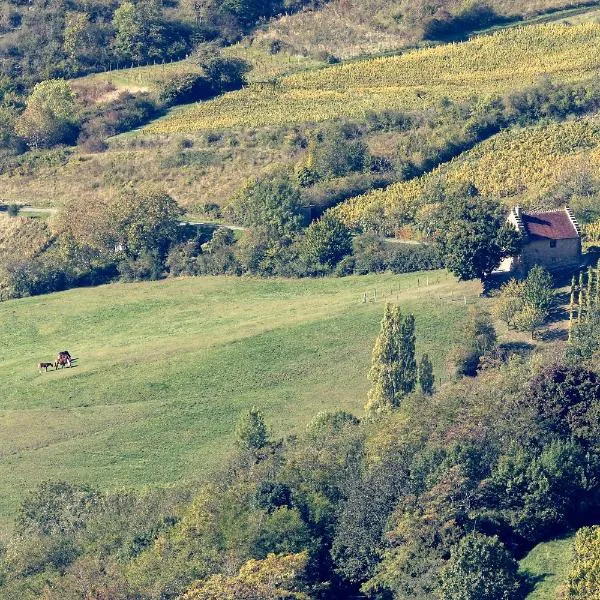 Les Billardes - le gite - Jura, hotel v destinaci Gizia