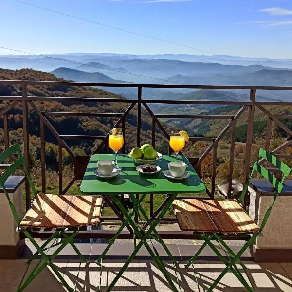 Modern Lux Apartment H8 at Milmari Resort、コパオニクのホテル