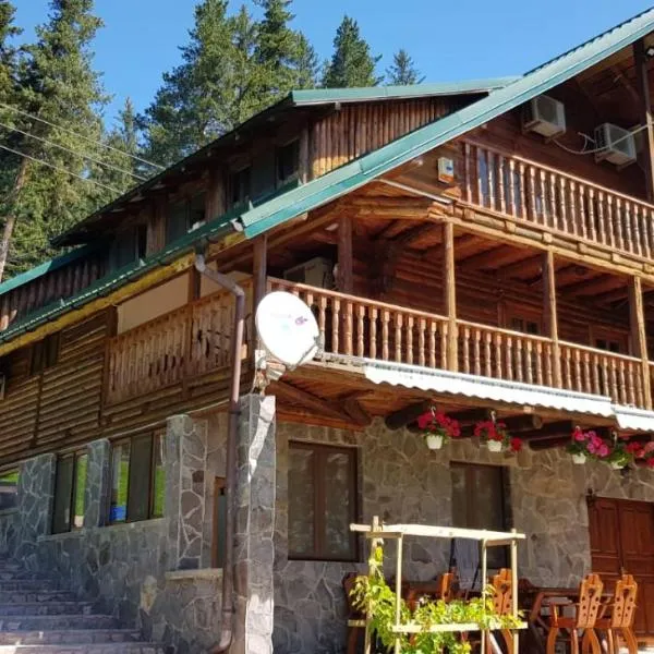 Cabana Soveja, hotell i Dragosloveni