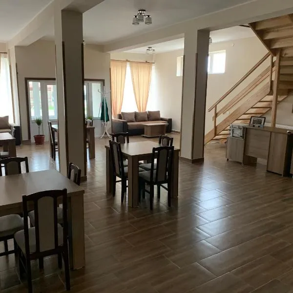 Pensiunea Pisc, hotel in Tuştea