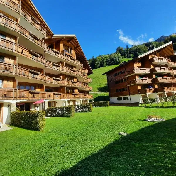 Appartement et studio, Val d'illiez، فندق في فال دي ليز