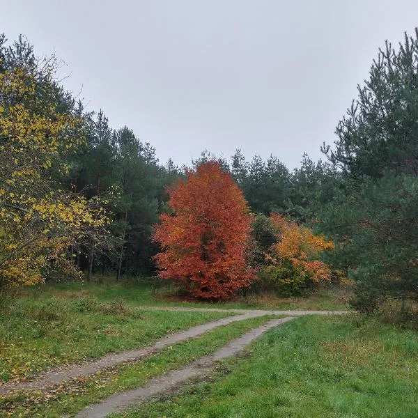 Agroturystyka Leśna Babka, hotel v destinaci Jastrowie