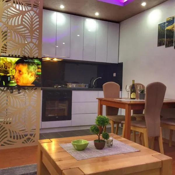 Apartman Perkovic, hotel in Pale