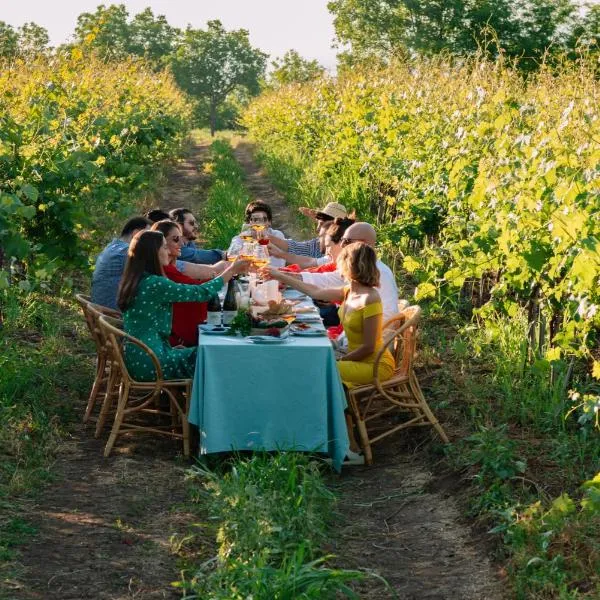 Vazisubani Estate, hotel in Vazisubani