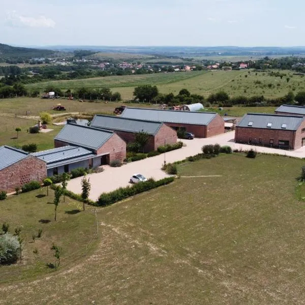 Öregtölgy Apartman, hotel v destinaci Szár