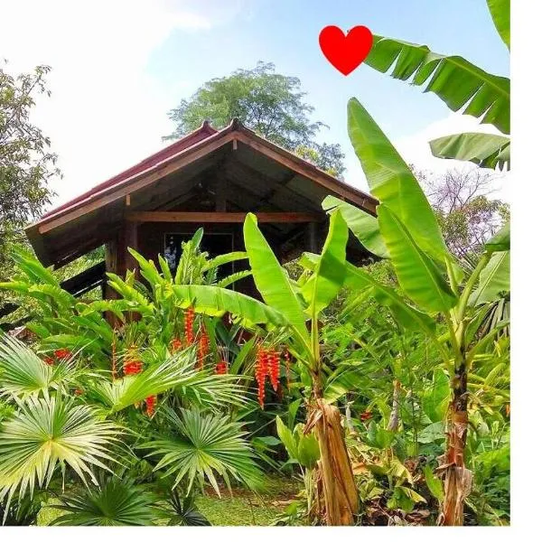 Pencave Homestay โรงแรมในปางมะผ้า
