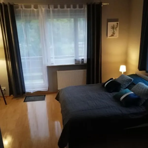 Apartament nad Gorczańskim Strumieniem, hotel di Koninki