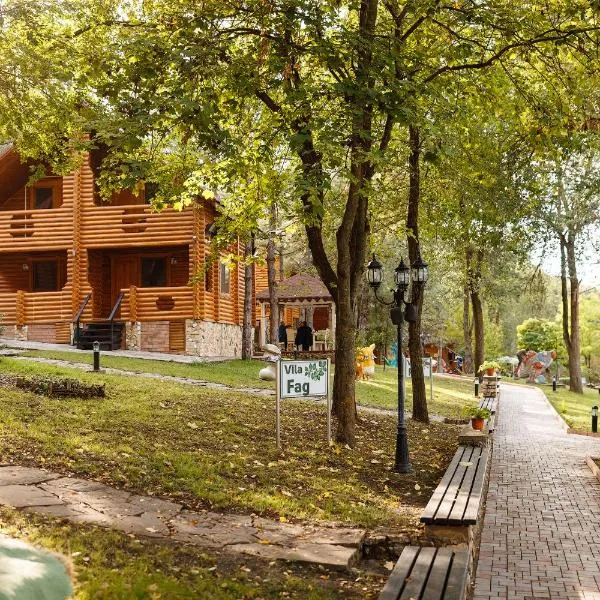 Sky Land Camping & Resort, hotell i Paşcani