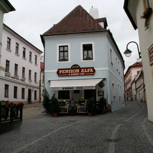 Pension Alfa & Whisky Pub, hotel in Slapy