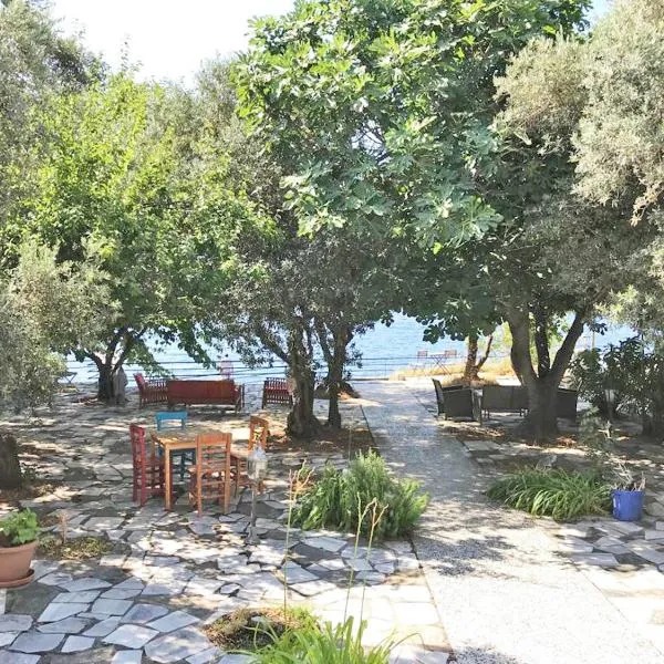 ada-art guesthouse design rooms next to beach, hotel in Avşa Adası