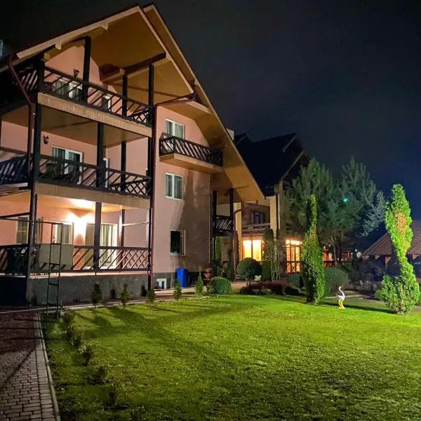 U Neli, hotel in Solochin