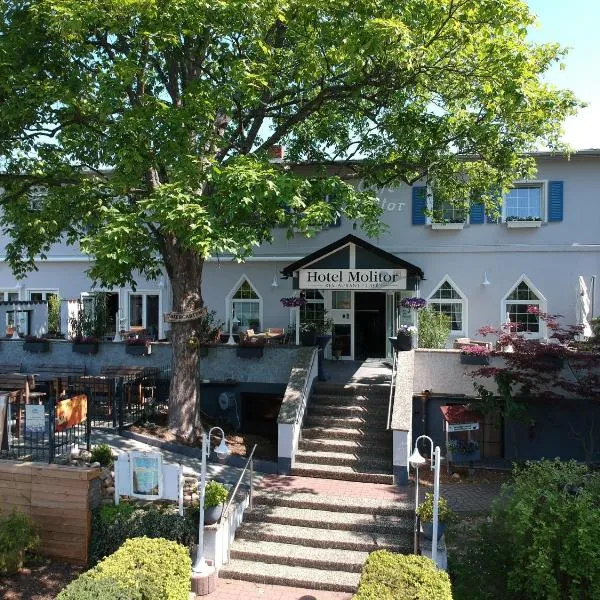 Hotel Restaurant Molitor, hotel en Bad Homburg vor der Höhe