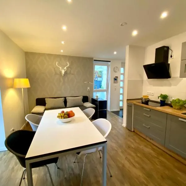 Apartment End, hotel din Heidelberg