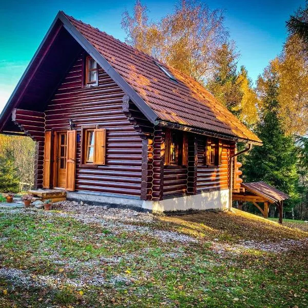 Pine Lodge, hotel v destinaci Hlevci