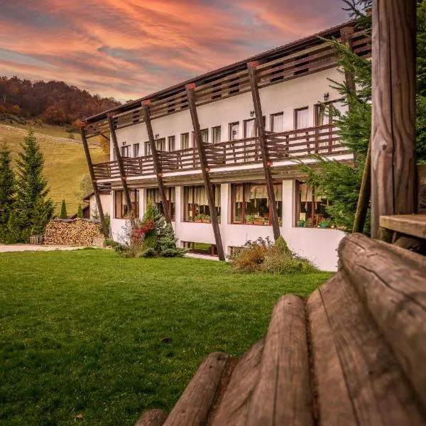 Casa Muntelui, hotel in Rucăr
