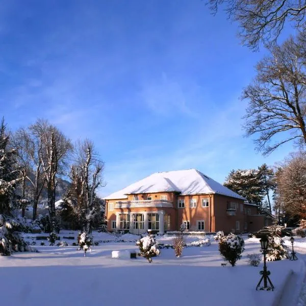 Svatojansky Kastiel, готель у місті Ліптовський Ян