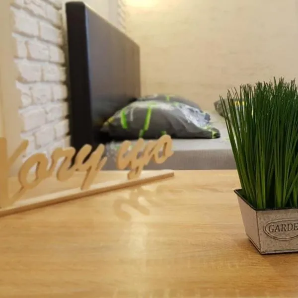 NEW Luxury Studio Apartment, hotel in Ivano-Frankivsʼk