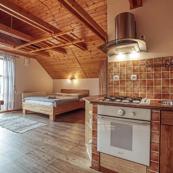 ZET - Penzion & Wellness, hotel v destinácii Vyšné Ružbachy