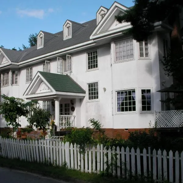 Petit Hotel and Restaurant Air Mail, hôtel à Hakuba