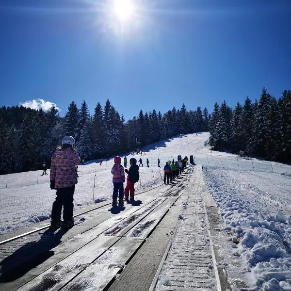 Apartmajsko naselje Ribniško Pohorje: Ribnica na Pohorju şehrinde bir otel