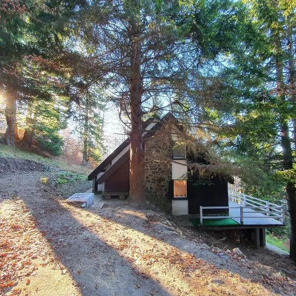 VILA PAVLOVIC, hotel v Kopaoniku