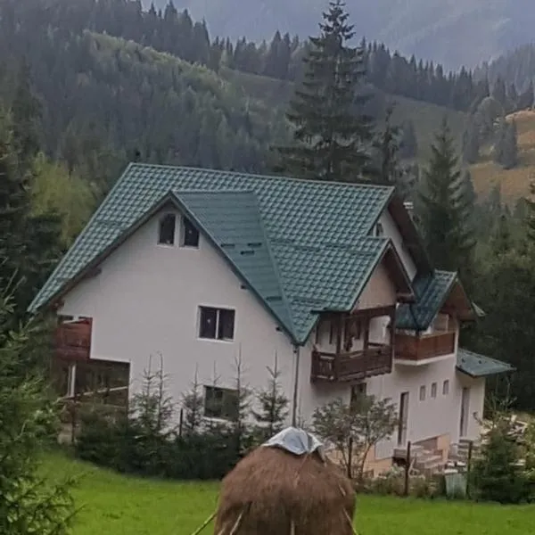 Pensiunea Gură de Rai, Pojorâta, hotel in Pojorîta